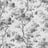 Bild von 